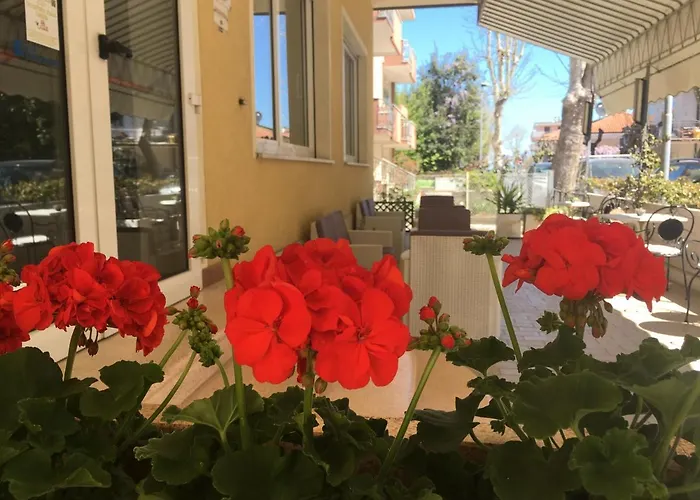 Hotel Villa Rinaldini Rimini